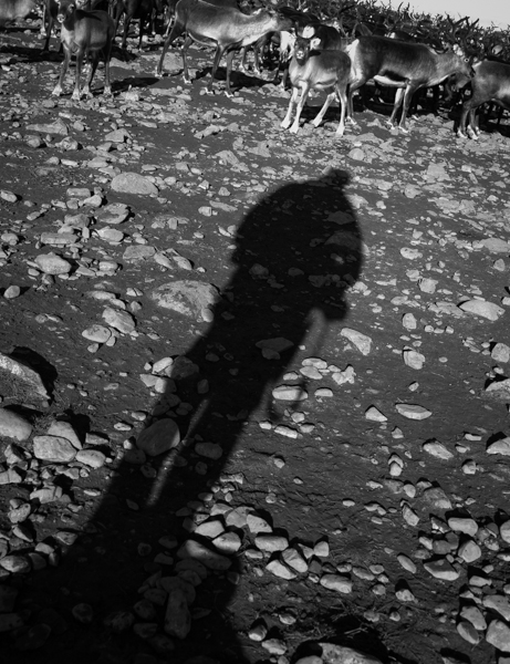 shadow again, this time a "selfportrait" 